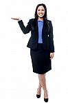 Business Woman Presenting Something Stock Photo