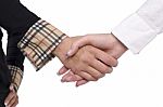 Business Women Shaking Hands Stock Photo