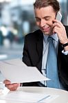 Businessman Communicatng On Phone Stock Photo