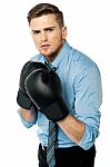 Businessman Posing With Boxing Gloves On Stock Photo