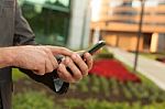 Businessman With The Smart Phone Stock Photo