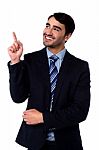 Businesss Executive Pointing Upwards Stock Photo