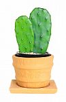 Cactus ( Opuntia ) On Isolated Background ( Cereus Hexagonus Mil Stock Photo