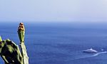 Cactus Plant Overlooks The Sea In Sicily Stock Photo