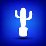 Cactus White On Blue Stock Photo