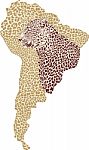 Camouflage Jaguar On A Map Of South America Stock Photo