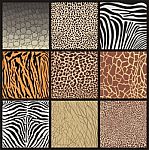 Camouflage Of African Animals Stock Photo