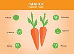 Carrot Nutrition Facts, Carrot With Information, Carrot Stock Photo