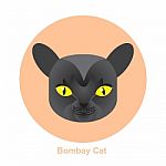 Cartoon Bombay Cat In Circle  Illustration Stock Photo