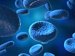 Cell Blue, Human Cell, Animal Cell Stock Photo