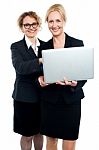 Cheerful Corporate Ladies Using Laptop Stock Photo