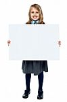 Cheerful Schoolkid Showcasing Blank Whiteboard Stock Photo