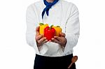 Chef Hands Showing Fresh Capsicums Stock Photo