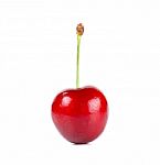 Cherry Isolated On White Background Stock Photo