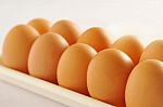 Chicken Eggs Stock Photo