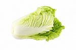 Chinese Cabbage Head On White Background Stock Photo