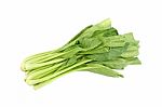 Chinese Mustard Green Vegetable On White Background Stock Photo