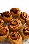 Cinnamon Rolls Freshly Baked Stock Photo