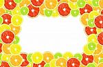 Citrus Isolated On A White Background With Frames For Design Stock Photo