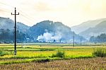 Close Up Rice Fields On Terraced Of Yellow Green Rice Field Landscape Stock Photo