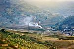 Close Up Rice Fields On Terraced Of Yellow Green Rice Field Landscape Stock Photo