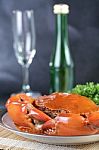 Close Up Singapore Chilli Mud Crab Stock Photo