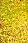 Closeup Of Textured Skin Of A Jack-fruit Stock Photo