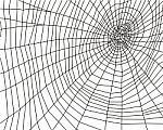 Cobweb Stock Photo