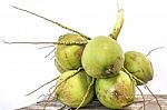 Coconut On Wooden Stock Photo