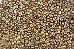 Coffee Beans Background Stock Photo