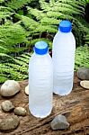 Cold Drinking Water In Nature Stock Photo