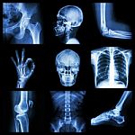 Collection X-ray Part Of Human Stock Photo