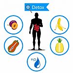 Colon Symbol On Fruit And Water With Human Body. Foods For Cleansing Your Colon Healthy Concept Stock Photo