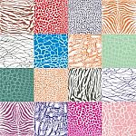 Color Animal Background Stock Photo