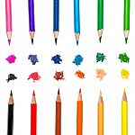 Color Pencil And Pencil On White Background Stock Photo