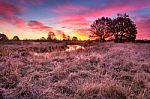 Colorful Autumn Dawn. Little River In The Meadow Stock Photo