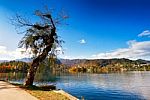 Colorful Autumn Day On Bled Lake, Slovenia Stock Photo