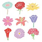 Colorful Flowers Illustration Stock Photo