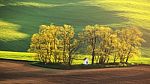 Colorful Summer Sunrise Stock Photo