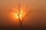 Colorful Sunset In African Savanna Stock Photo