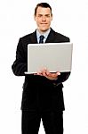 Confident Executive Using Laptop And Surfing Web Stock Photo