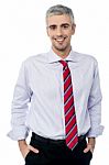 Confident Smiling Middle Age Business Man Stock Photo