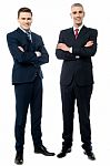 Confident Young Businessmen Isolated On White Stock Photo