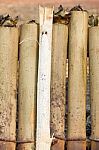 Cooking Rice In Bamboo Stock Photo