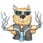 Cool Cat Stock Photo