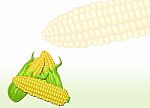 Corn Stock Photo