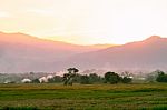 Cornfield With Farmland At Sunset Stock Photo