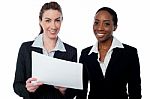 Corporate Ladies Reviewing Reports Stock Photo