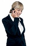 Corporate Lady Engaged In A Business Call Stock Photo