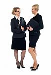 Corporate Women Interacting With Each Other Stock Photo